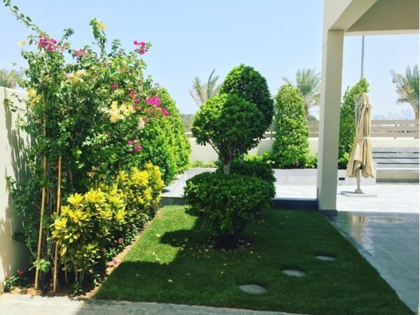 Gardening Services In Dubai