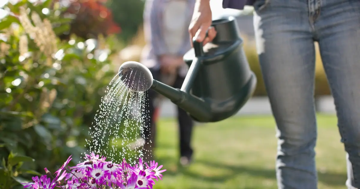 The Importance of Gardening Services and Why You Need Them