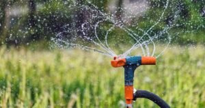 The Gardeners Guide to Choosing the Perfect Irrigation System