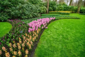 The Top Garden Trends to Watch Out for in 2023 in the UAE