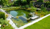 Natural Pool Design