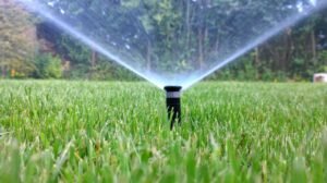 Best Garden Irrigation Systems in Dubai